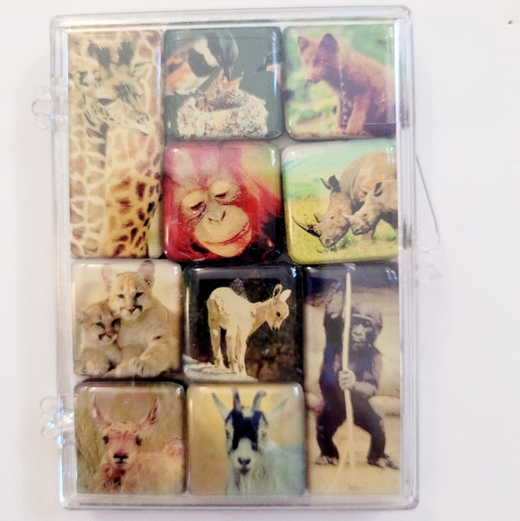 NWOT 10 Animals Mighty Magnets - Picture 4 of 10